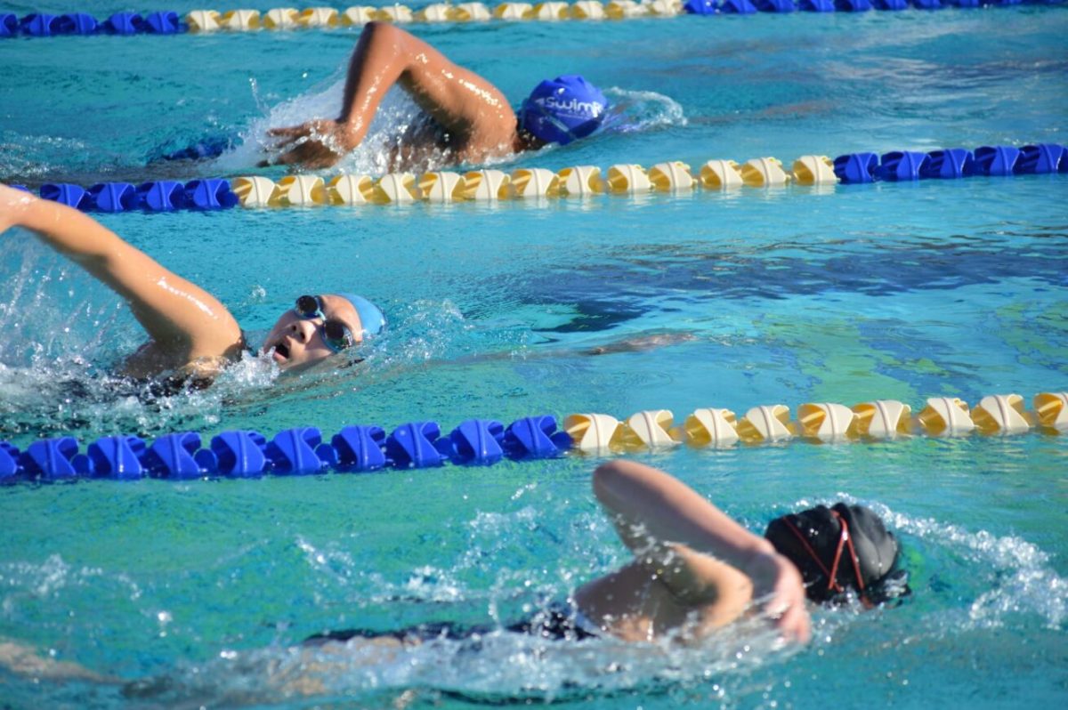 Girls swim dives into a great season