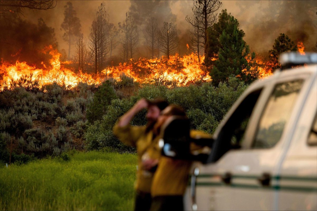 California Wildfires